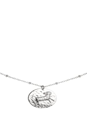 Ketting Constellation - Ram Zilver Stainless Steel h5 Afbeelding3